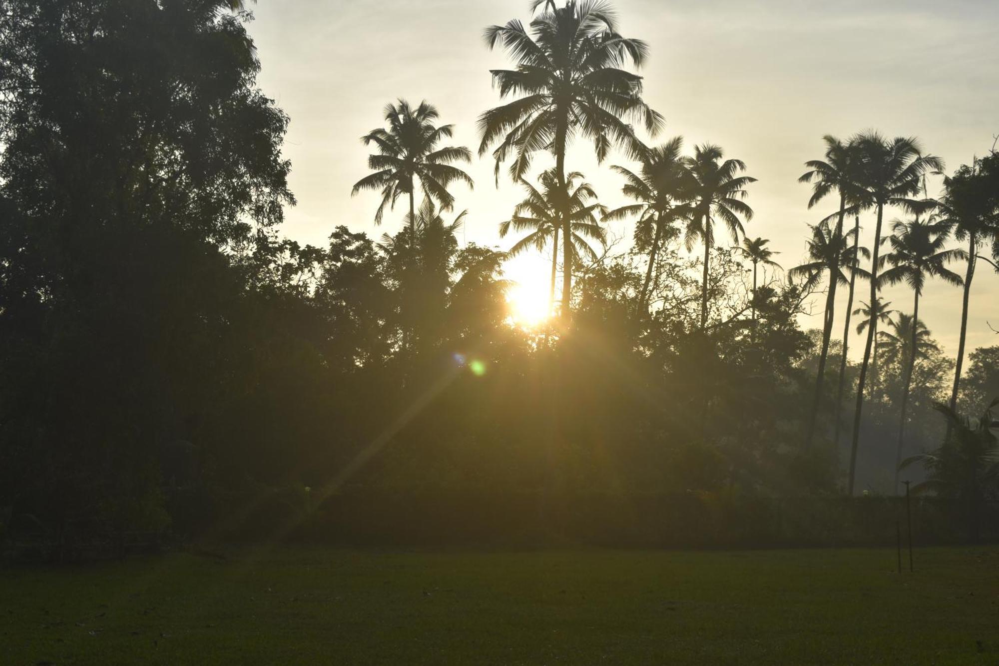 Marari Beach Palace Mararikulam Bagian luar foto